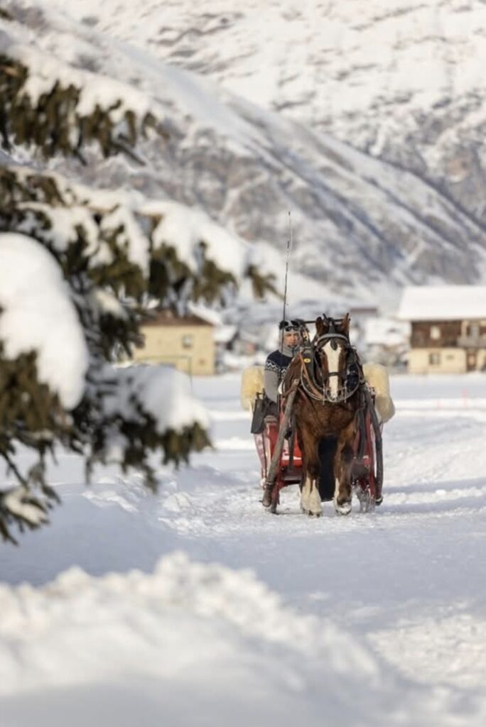 livigno ranch tour cavalli