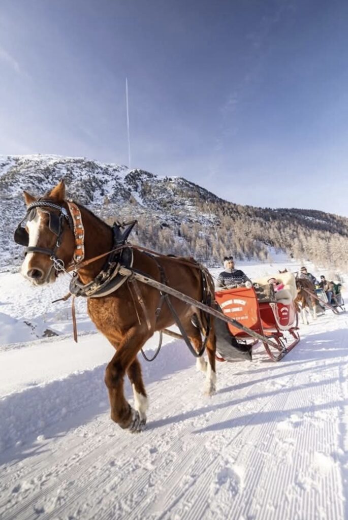 livigno ranch tour cavalli