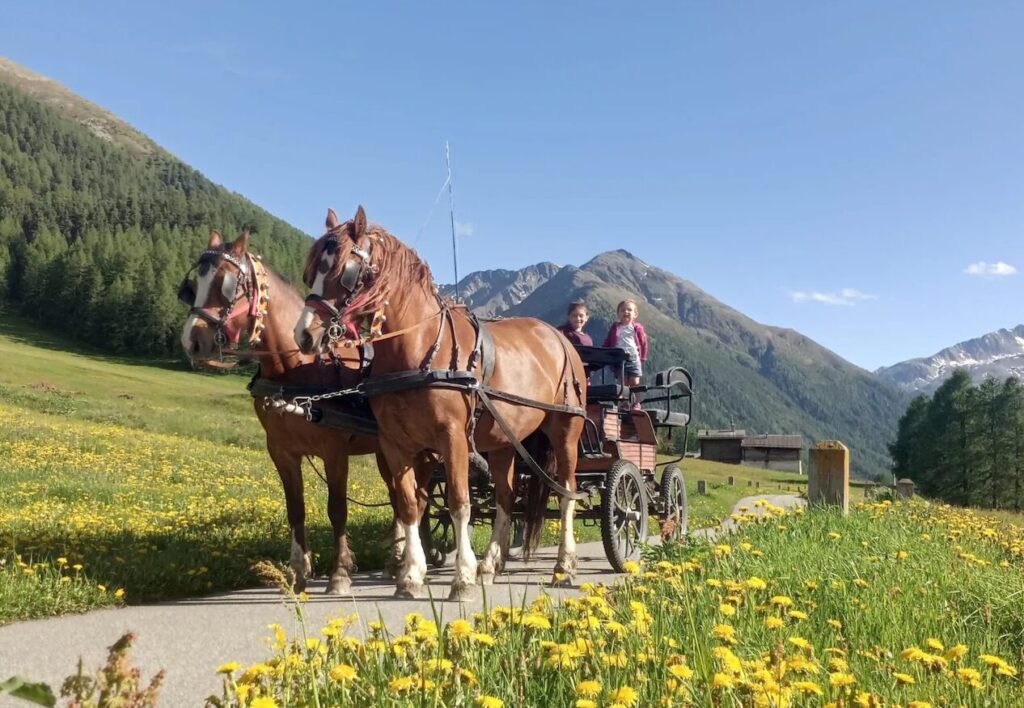 livigno ranch tour cavalli